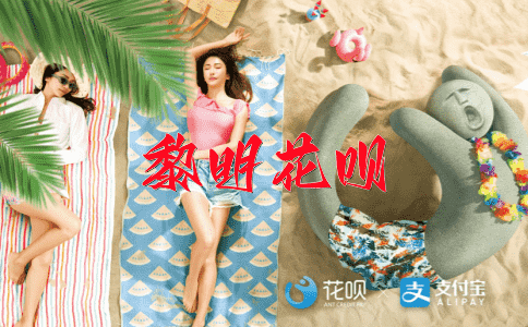 独树一帜花呗